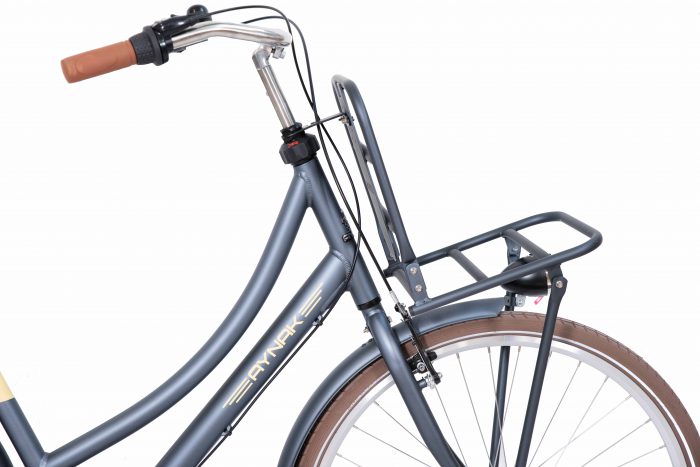 Froze Damesfiets 28 inch Transportfiets meisjesfiets 3
