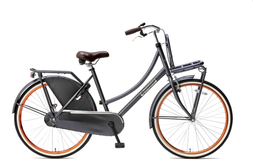 Gastheer van Op het randje peddelen Popal Daily Dutch Basic Transportfiets 26 inch - Fietshemel Edam