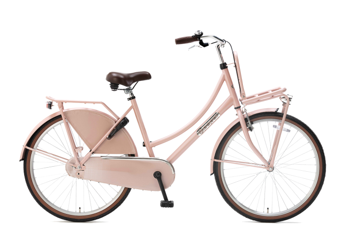 Popal Daily Dutch Basic 26 inch Transportfietsfiets Zalm