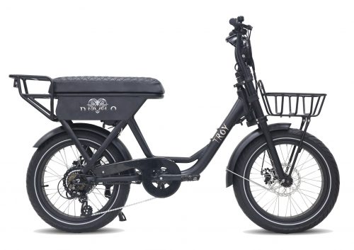 Troy Diablo Fat bike dobbio elektrische snorfiets mat-zwart