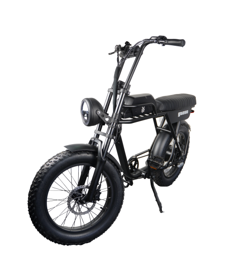 Fatbike Ebike AGM GT250 bike-2-e1649420694928-1851x2048